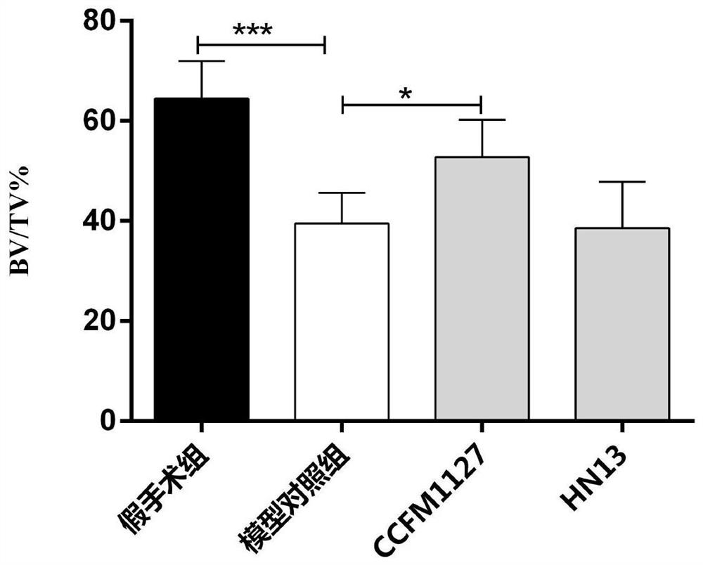 A strain of Lactobacillus casei that can alleviate osteoporosis and its application