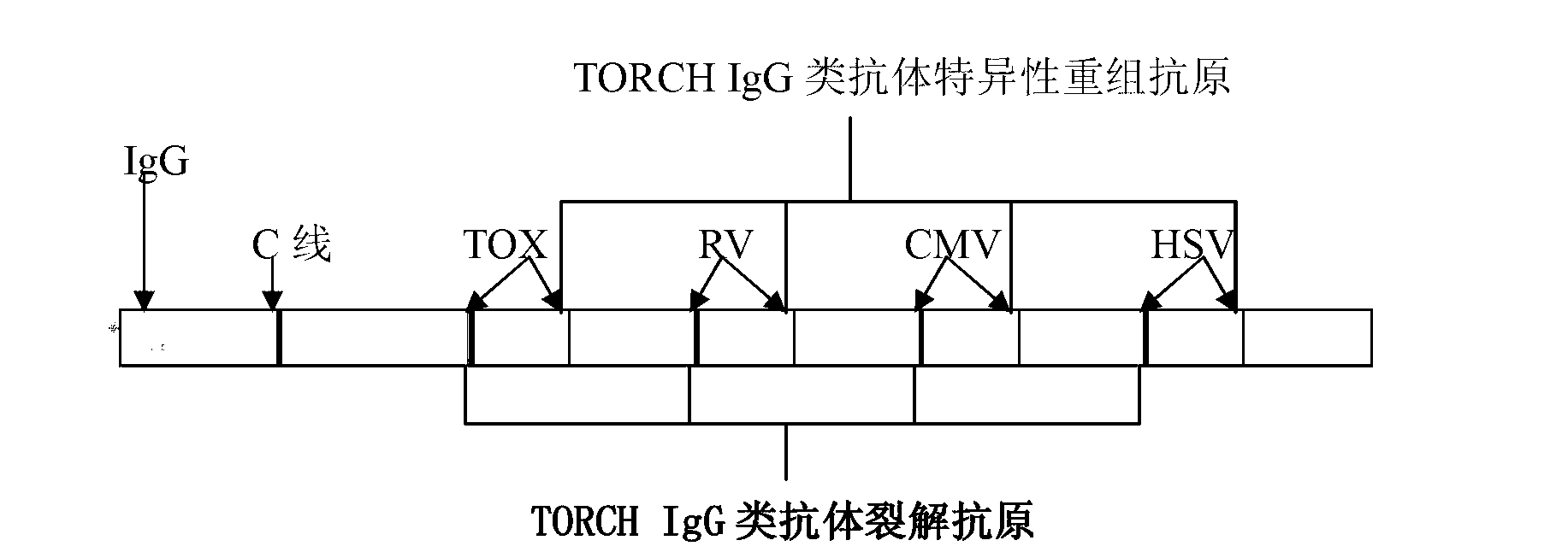 IgG antibody detection kit of TORCH five items and preparation of kit