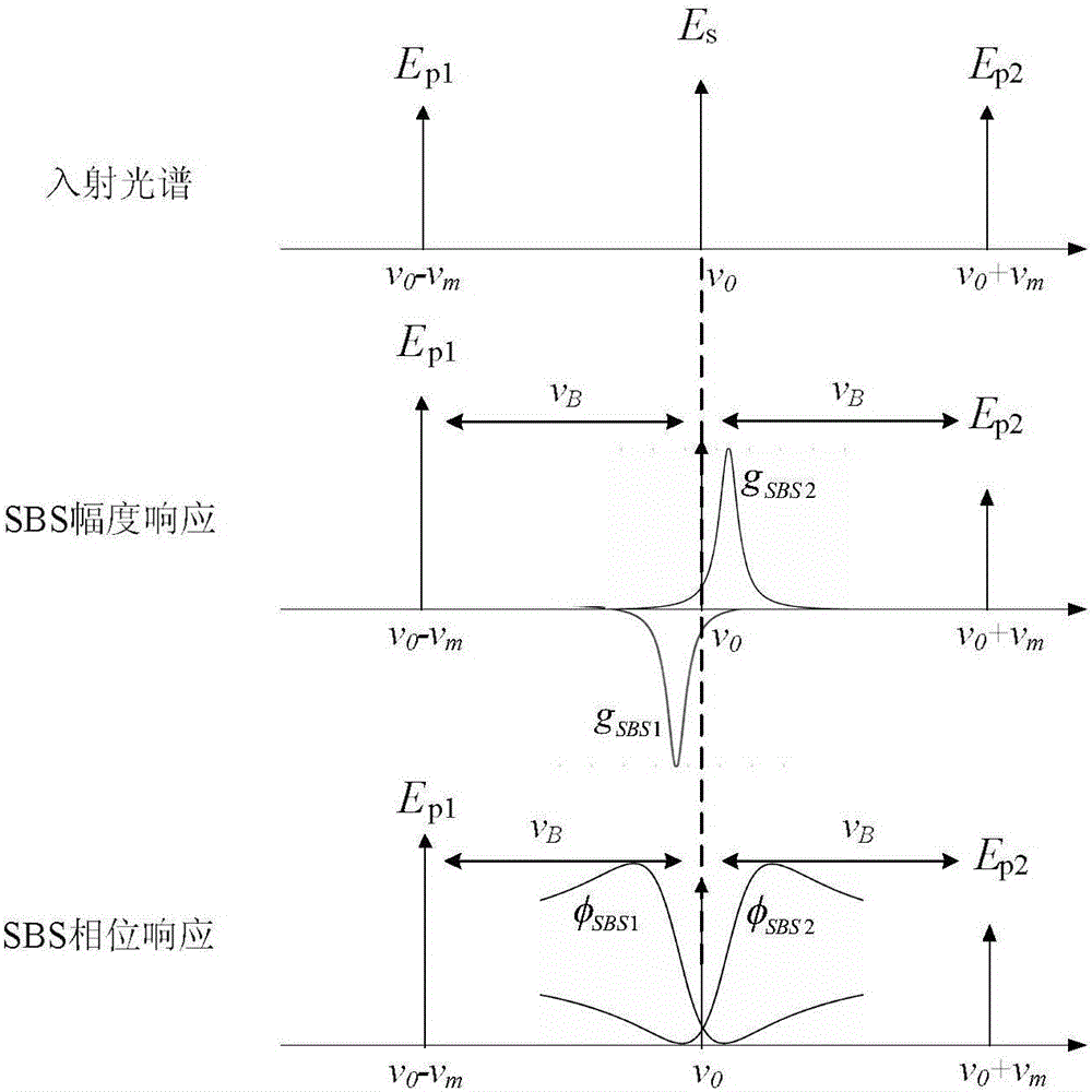 Self-heterodyne single-ended vector BOTDA-based dynamic strain measurement method and apparatus