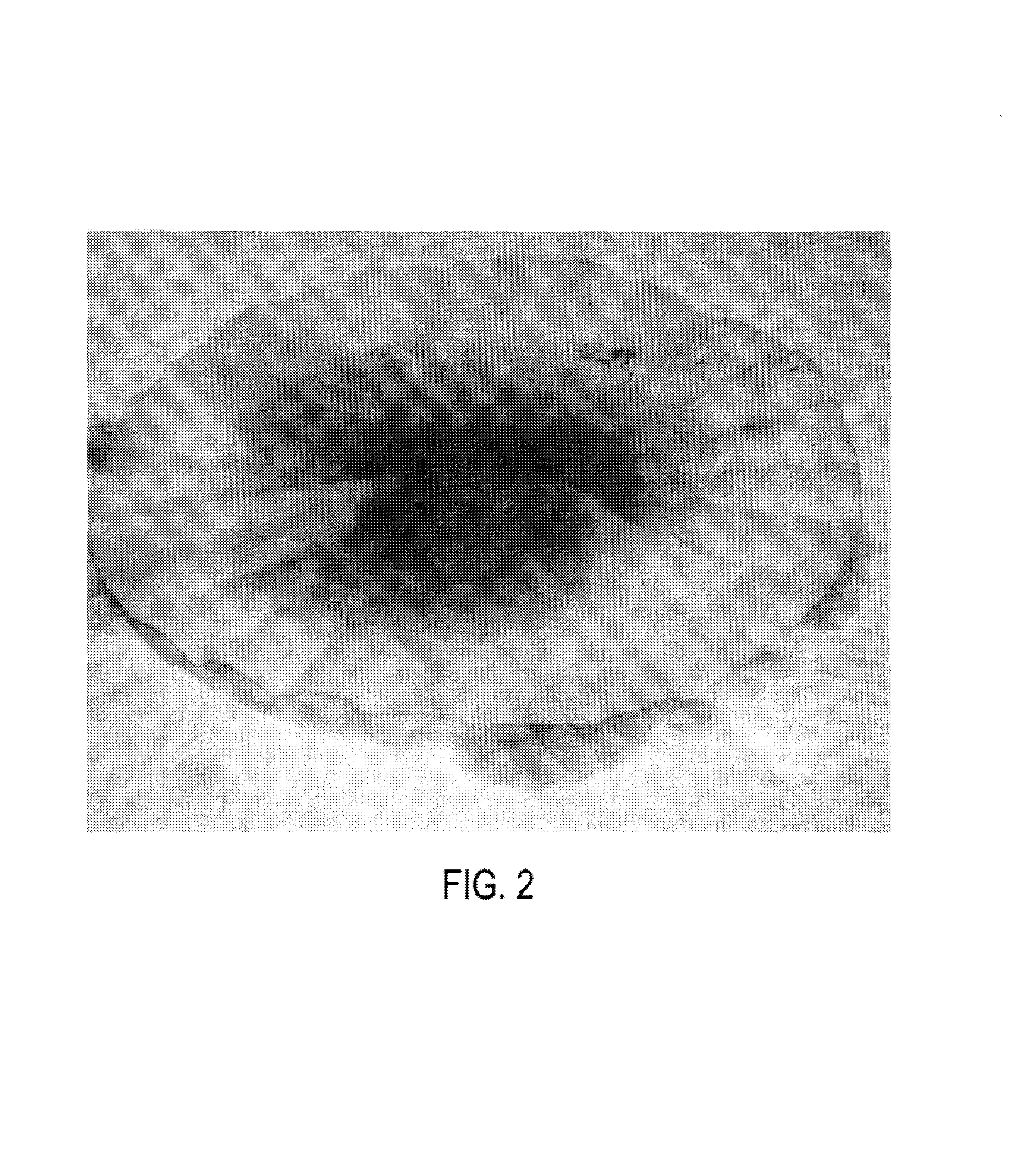 Dye solutions for use in methods to detect the prior evaporation of anhydrous ammonia and the production of illict drugs