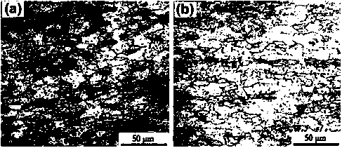 Creep aging forming method for Al-Cu-Mg alloy plate