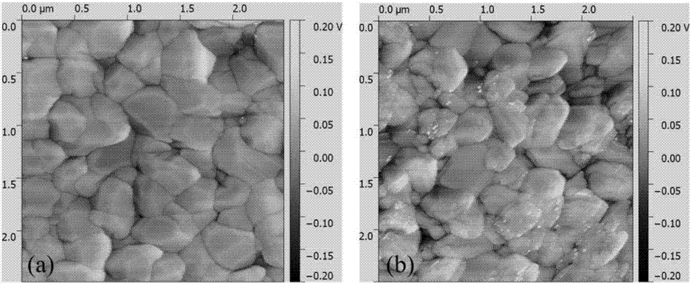 Passivation method for back surface of antimony selenide thin film solar cell