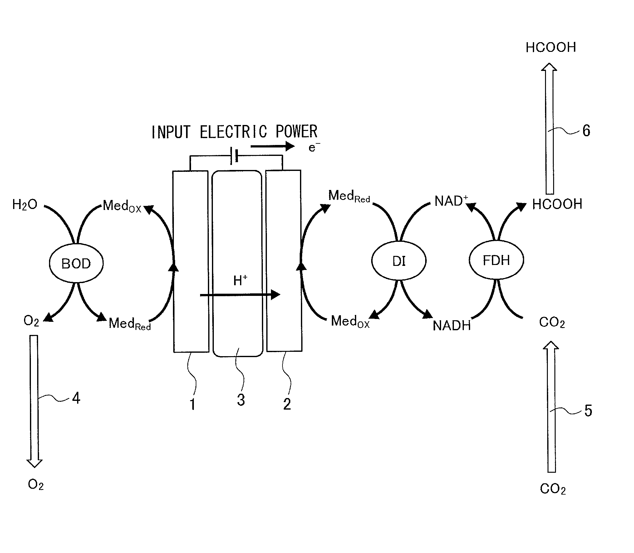 Carbon dioxide immobilization unit