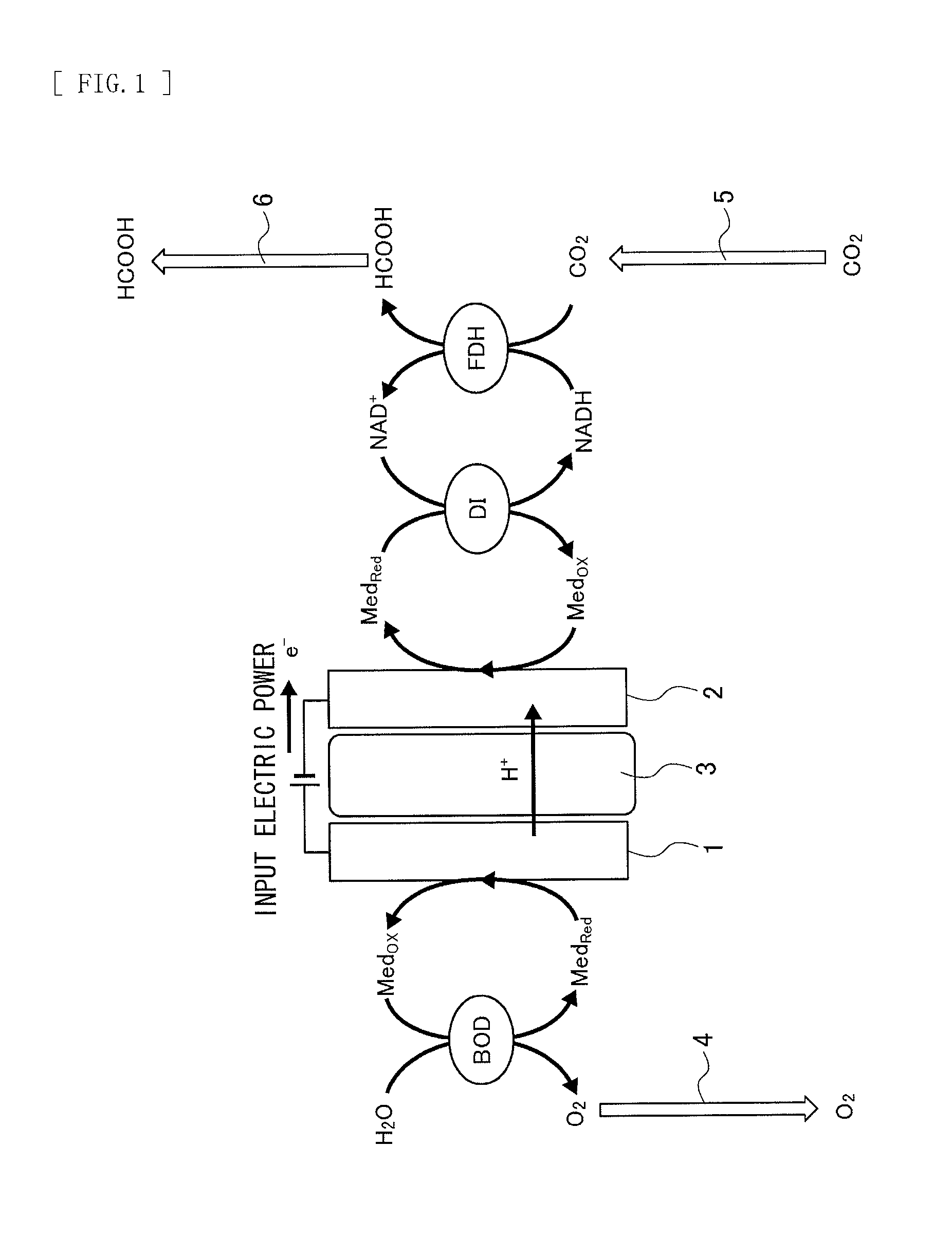 Carbon dioxide immobilization unit