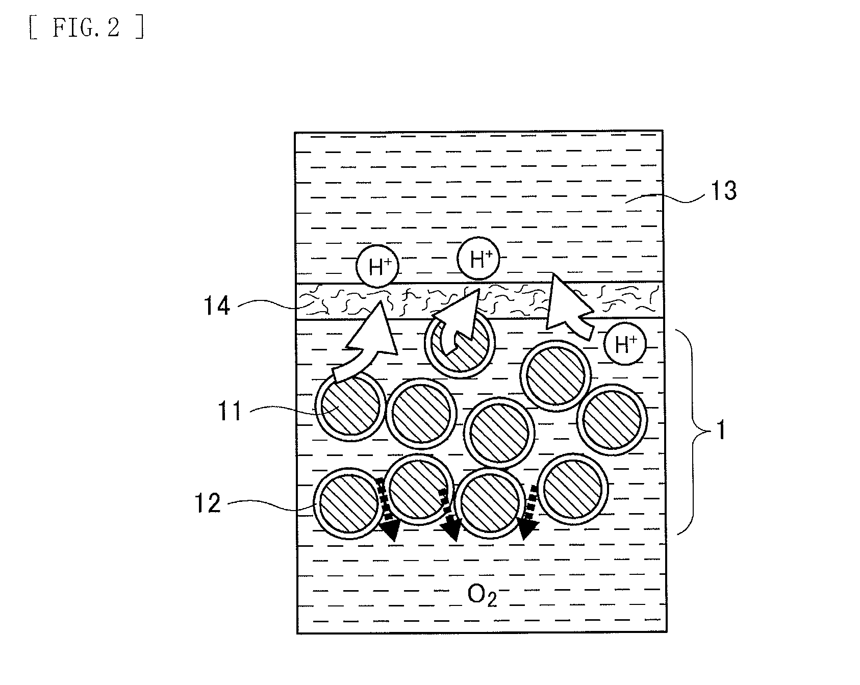 Carbon dioxide immobilization unit