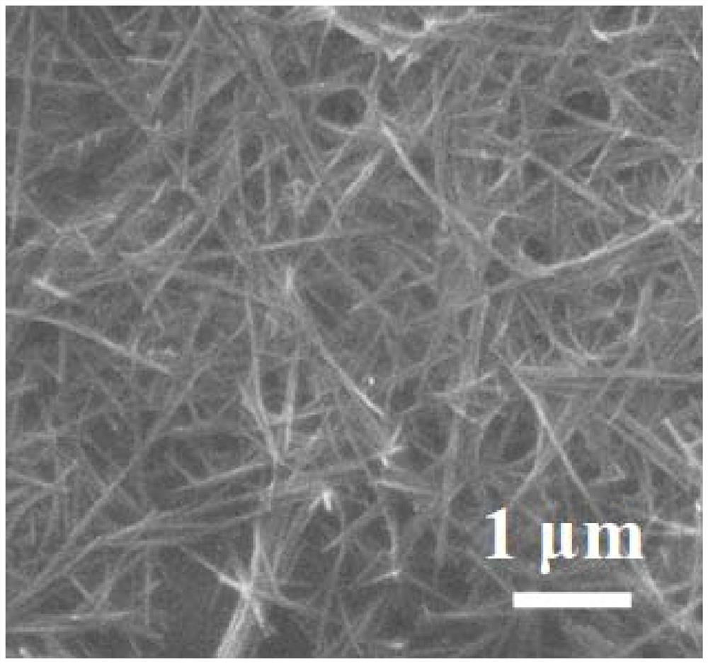 Self-supporting graphene manganese dioxide nanowire composite film electrode and preparation method thereof