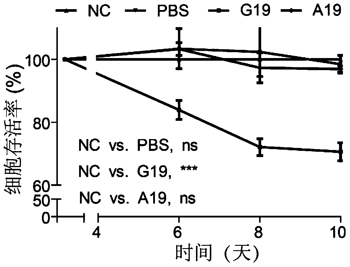 Polypeptide for treating metastatic tumors and preparation method and application of polypeptide for treating metastatic tumors