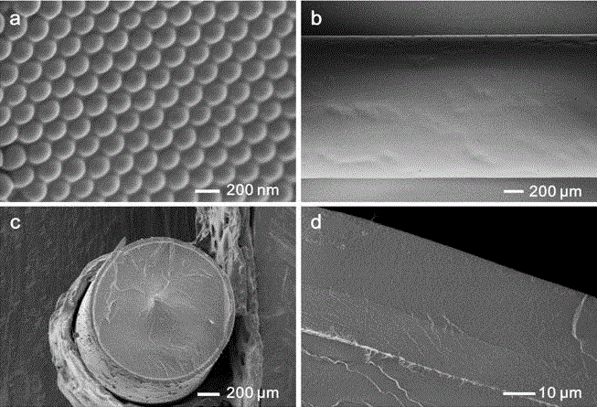 Preparation method of stress-discoloring photonic crystal fibers