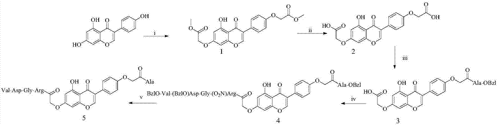 4'-oxyacetyl-Ala-5-hydroxyl-7-oxyacetyl-RGDV-isoflavone, and synthesis, activity and application thereof