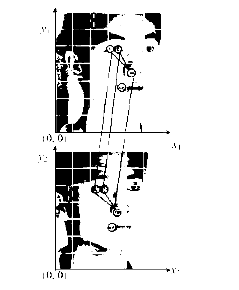 Identifiability face pose recognition method based on local geometrical visual phrase description