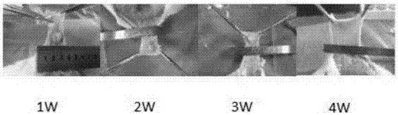 Polyamino acid, a preparation method, and drug loading gel