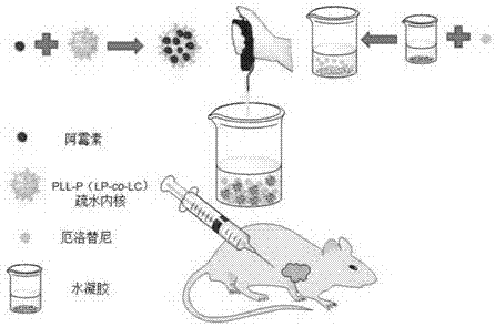 Polyamino acid, a preparation method, and drug loading gel