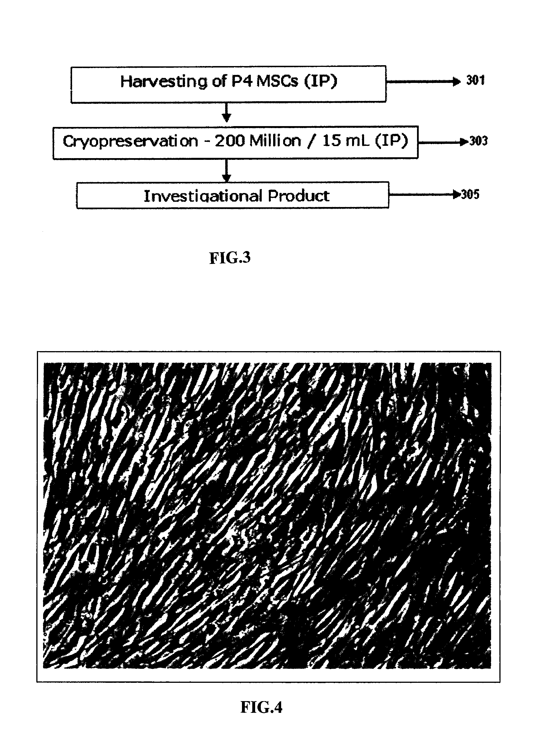 Methods of preparing mesenchymal stem cells, compositions and kit thereof