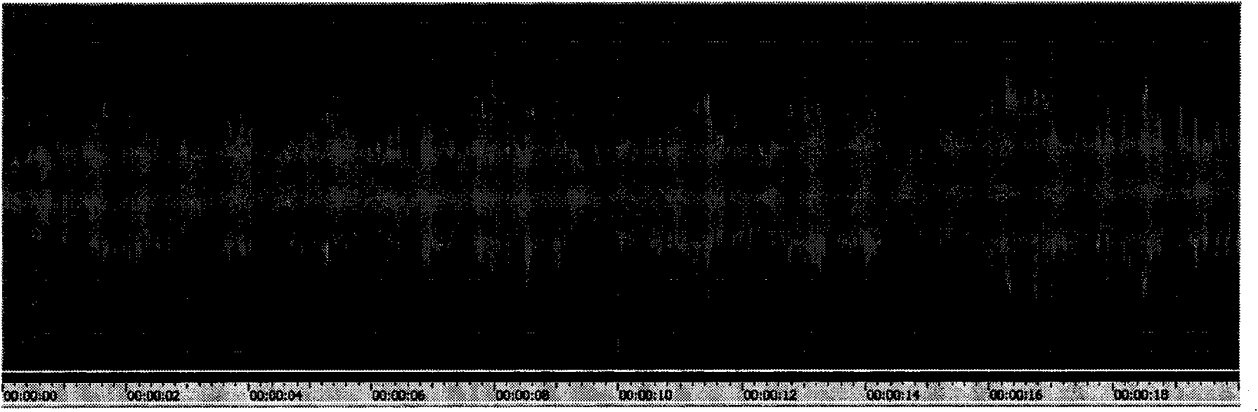 Multi-media information security guarantee method combining encryption and watermark