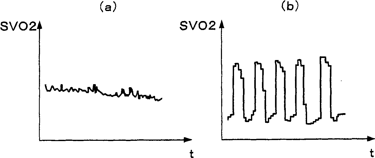 Catalyst deterioration detecting apparatus