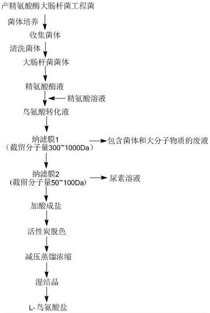 A method for separating ornithine and forming ornithine hydrochloride from ornithine conversion liquid prepared by enzyme biotechnology