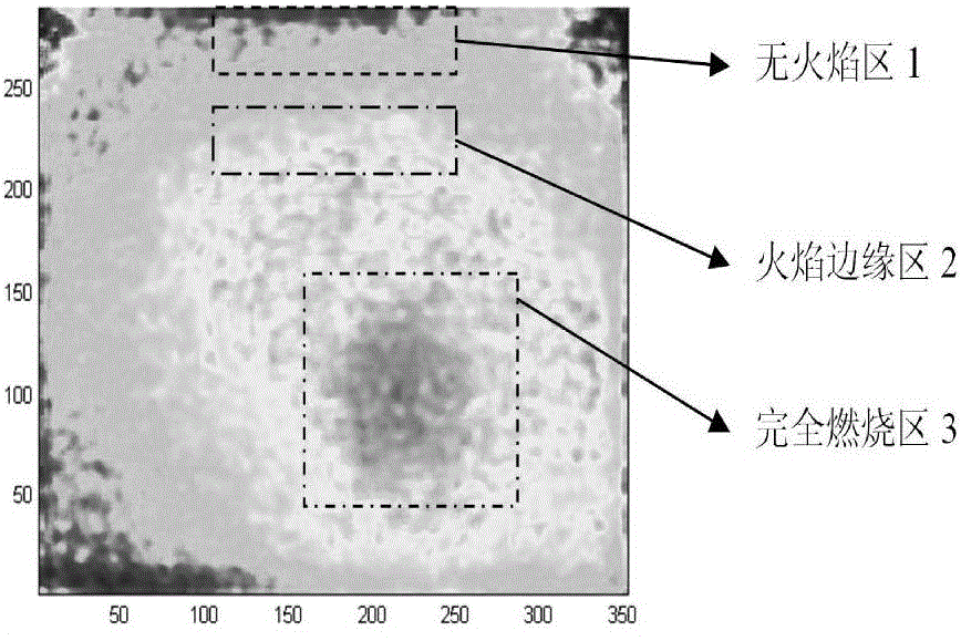 Coal-fired power plant furnace chamber flame judging method based on double images