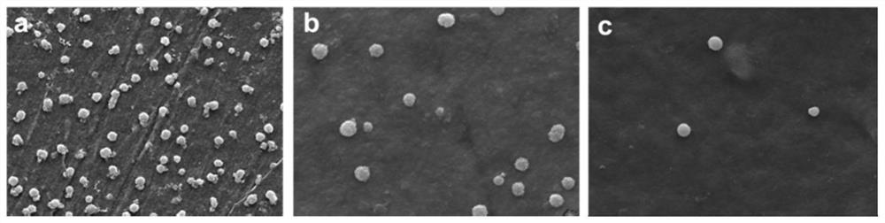 Anti-coagulation hydrogel material for inducing NO release as well as preparation method and application thereof