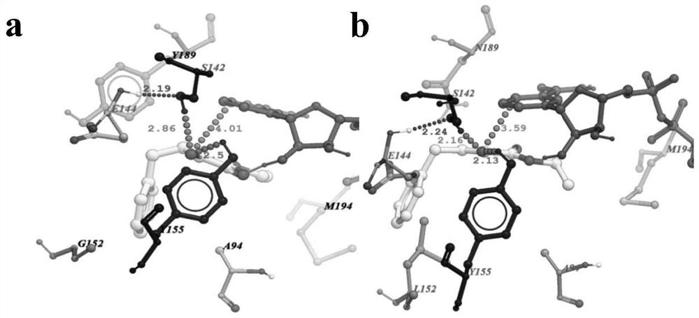 A carbonyl reductase mutant mut-accr(g152l/y189n) and its application and coding gene