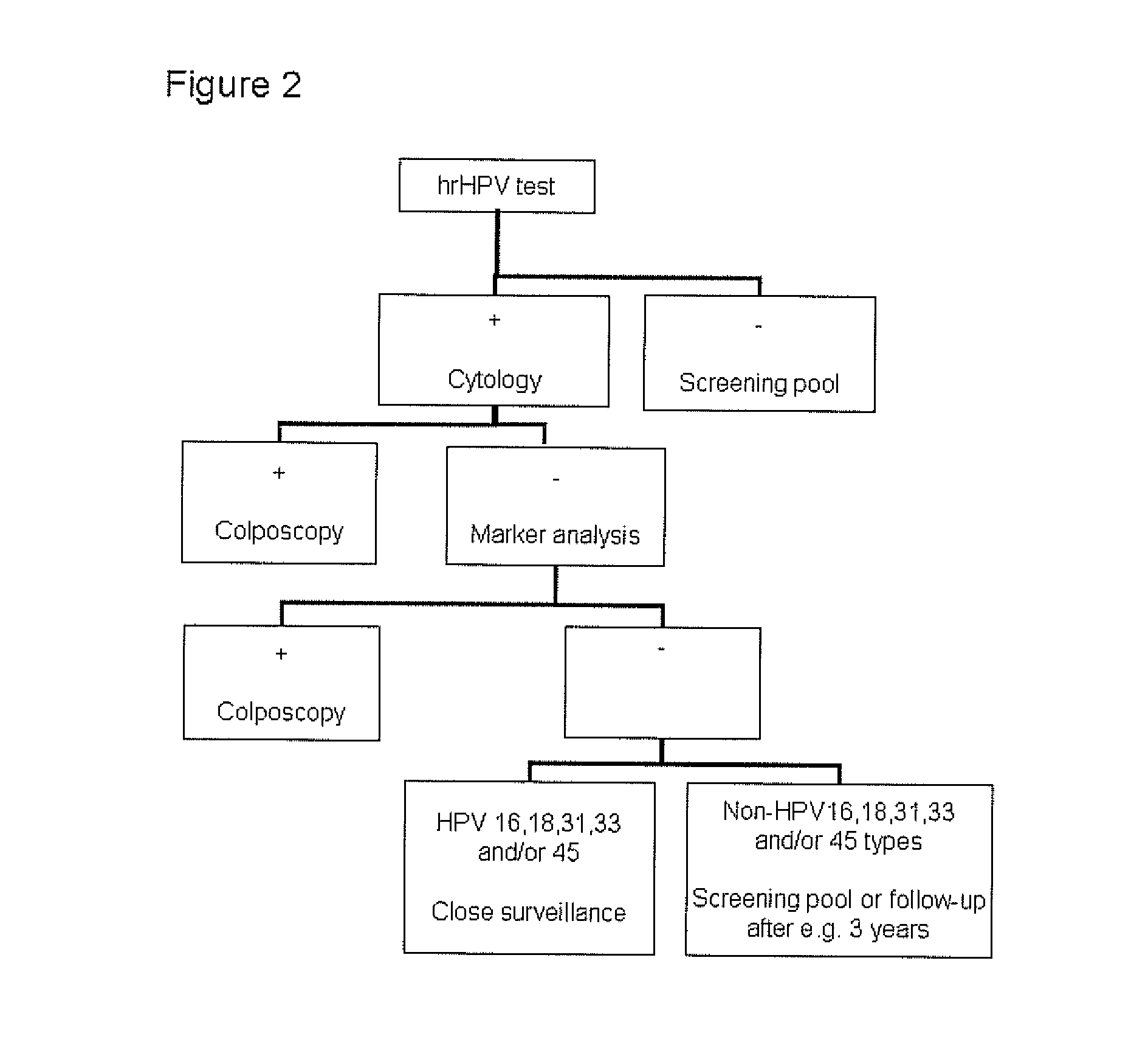 Cervical screening algorithms