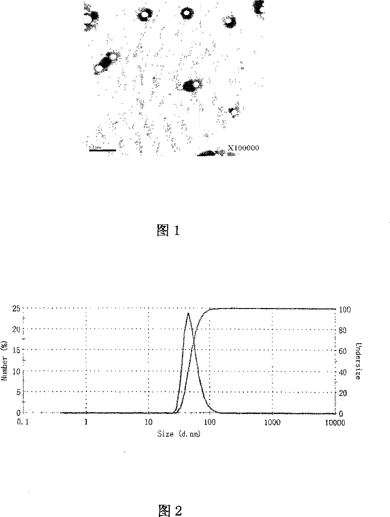 Isomorellic acid polylactic acid nano particle preparation and preparing method thereof