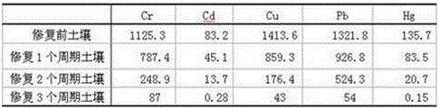 Repair method for repairing serious heavy metal contaminated soil