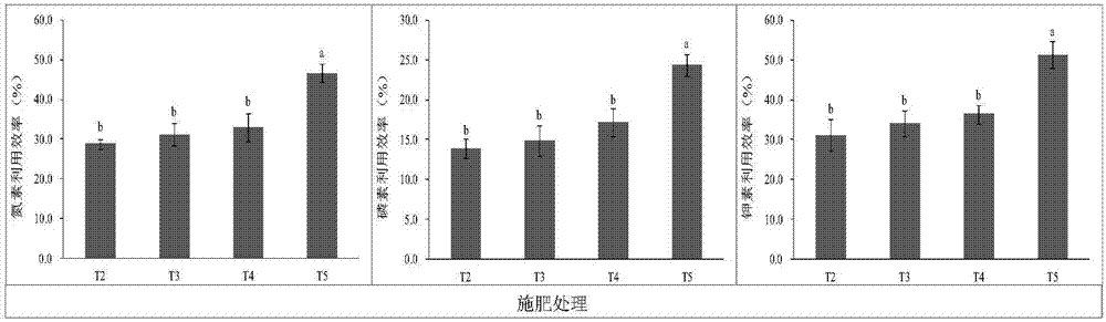 Application method of chemical fertilizer in fertilization reduction synergy of oilseed rape