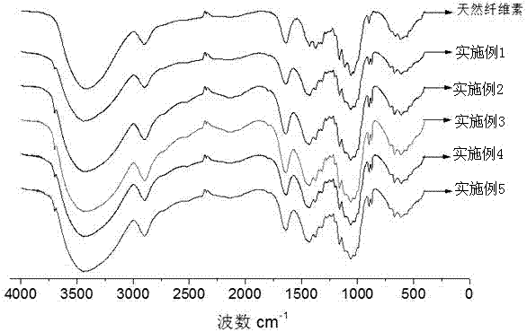 Pretreatment method for improving straw cellulose saccharification rate