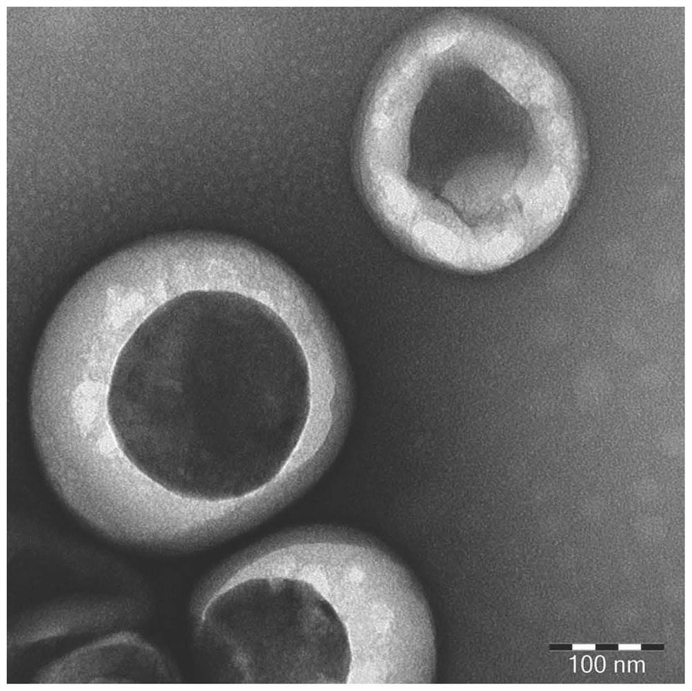 Tumor cell apoptotic body and its preparation method and application