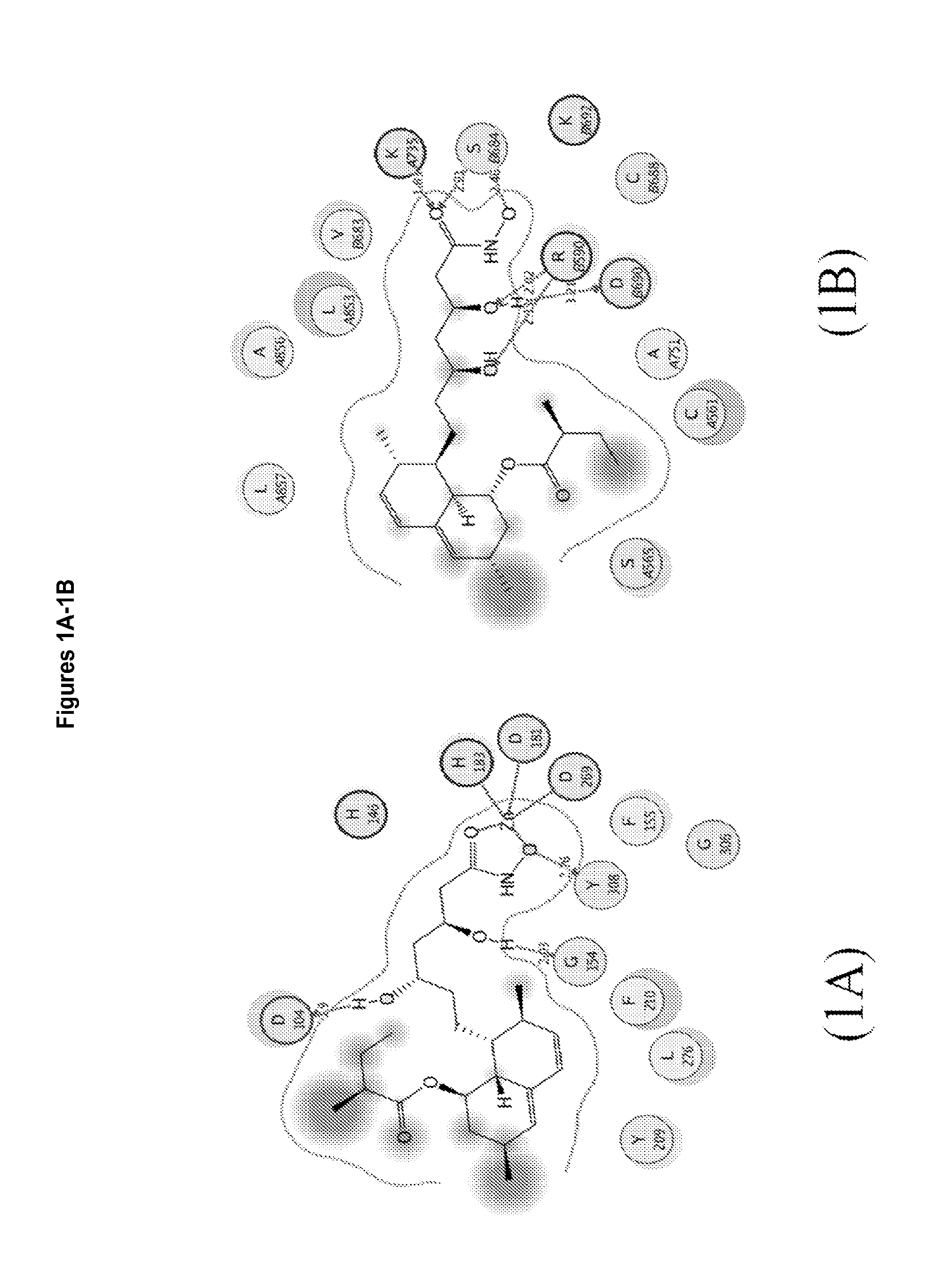 3,5,n-trihydroxy-alkanamide and derivatives: method for making same and use thereof