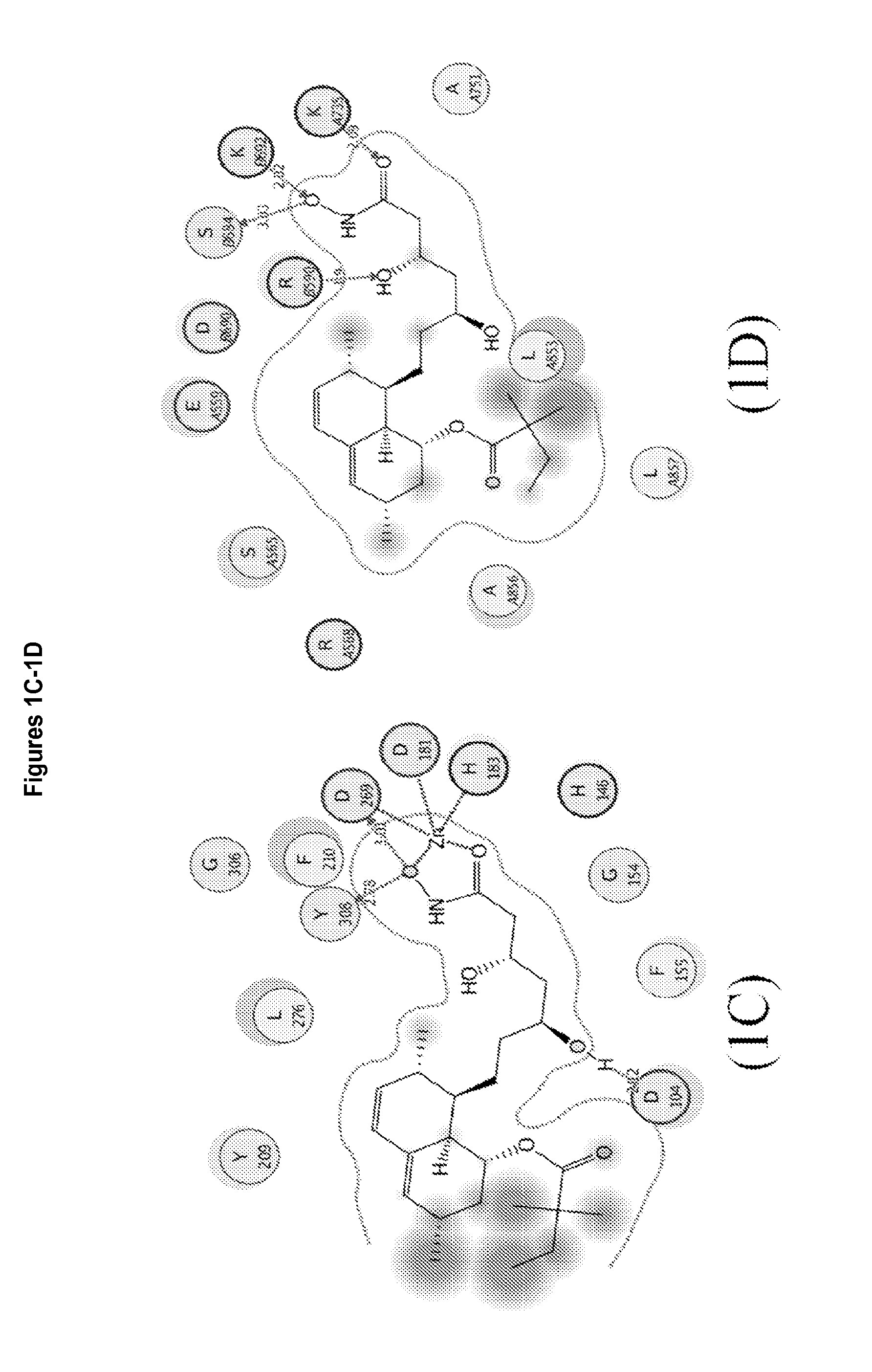 3,5,n-trihydroxy-alkanamide and derivatives: method for making same and use thereof
