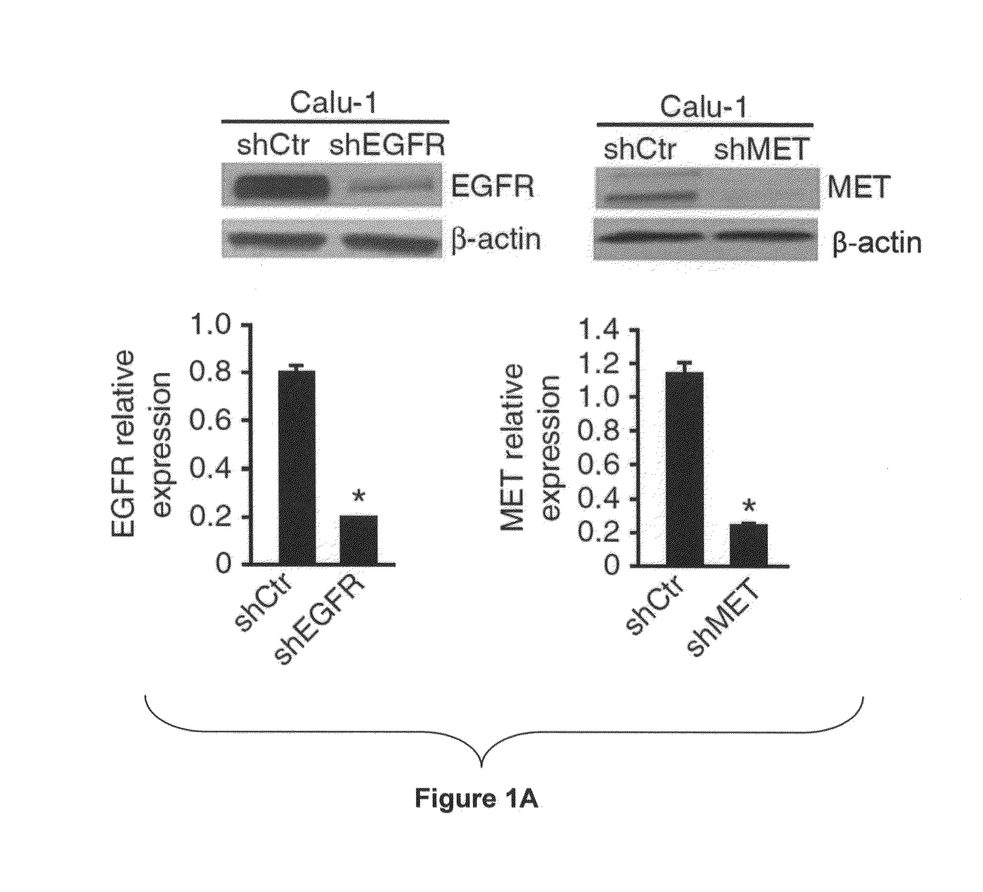 MiRNAs Useful to Reduce Lung Cancer Tumorigenesis and Chemotherapy Resistance and Related Compositions and Methods