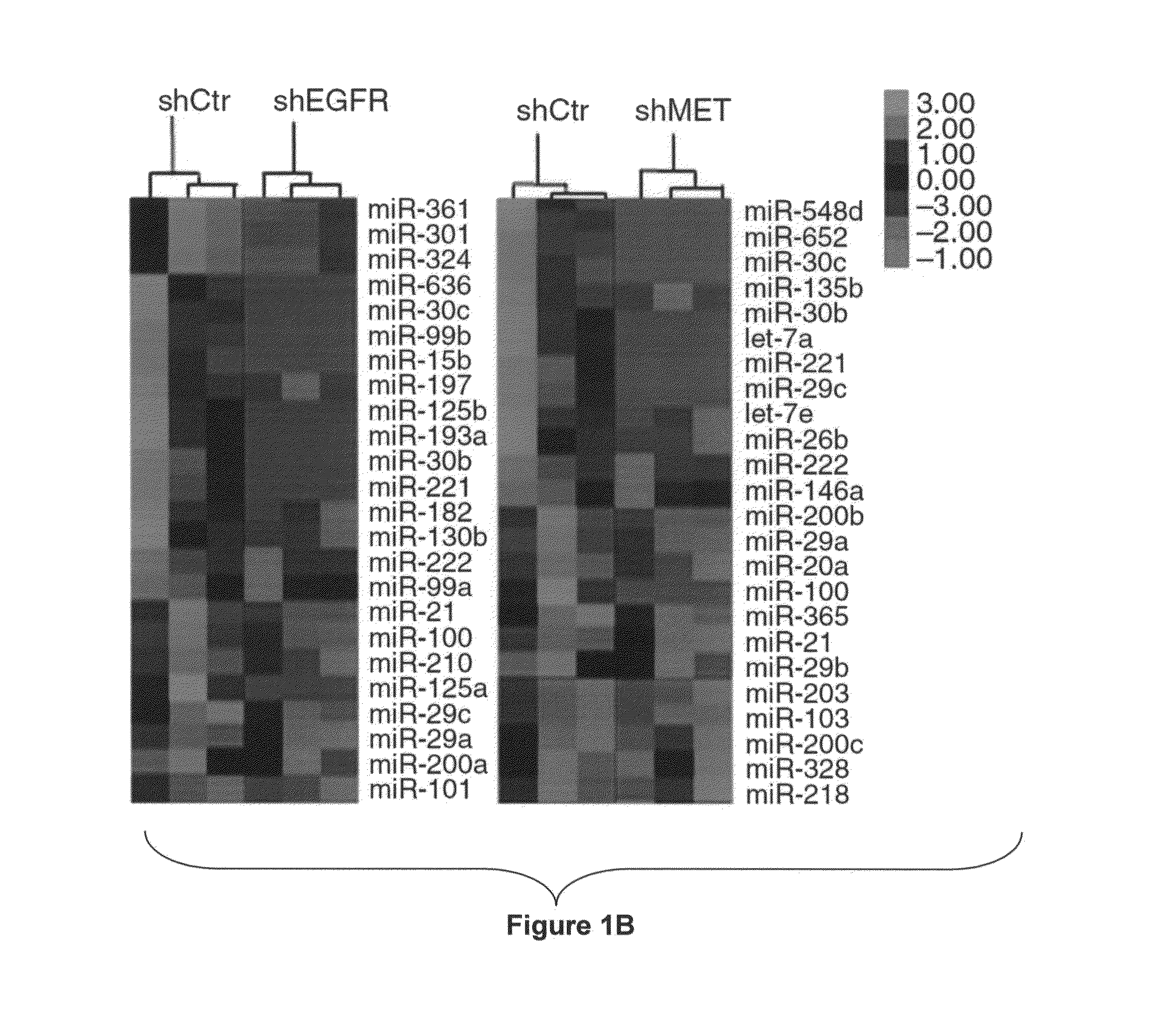 MiRNAs Useful to Reduce Lung Cancer Tumorigenesis and Chemotherapy Resistance and Related Compositions and Methods