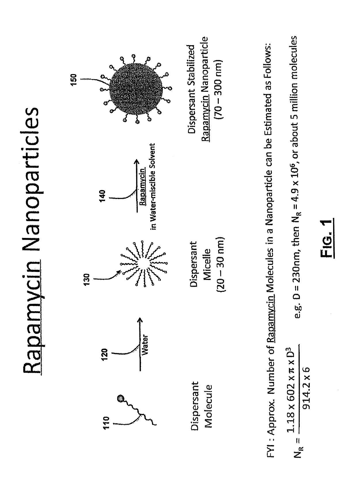 Oral rapamycin nanoparticle preparations and use