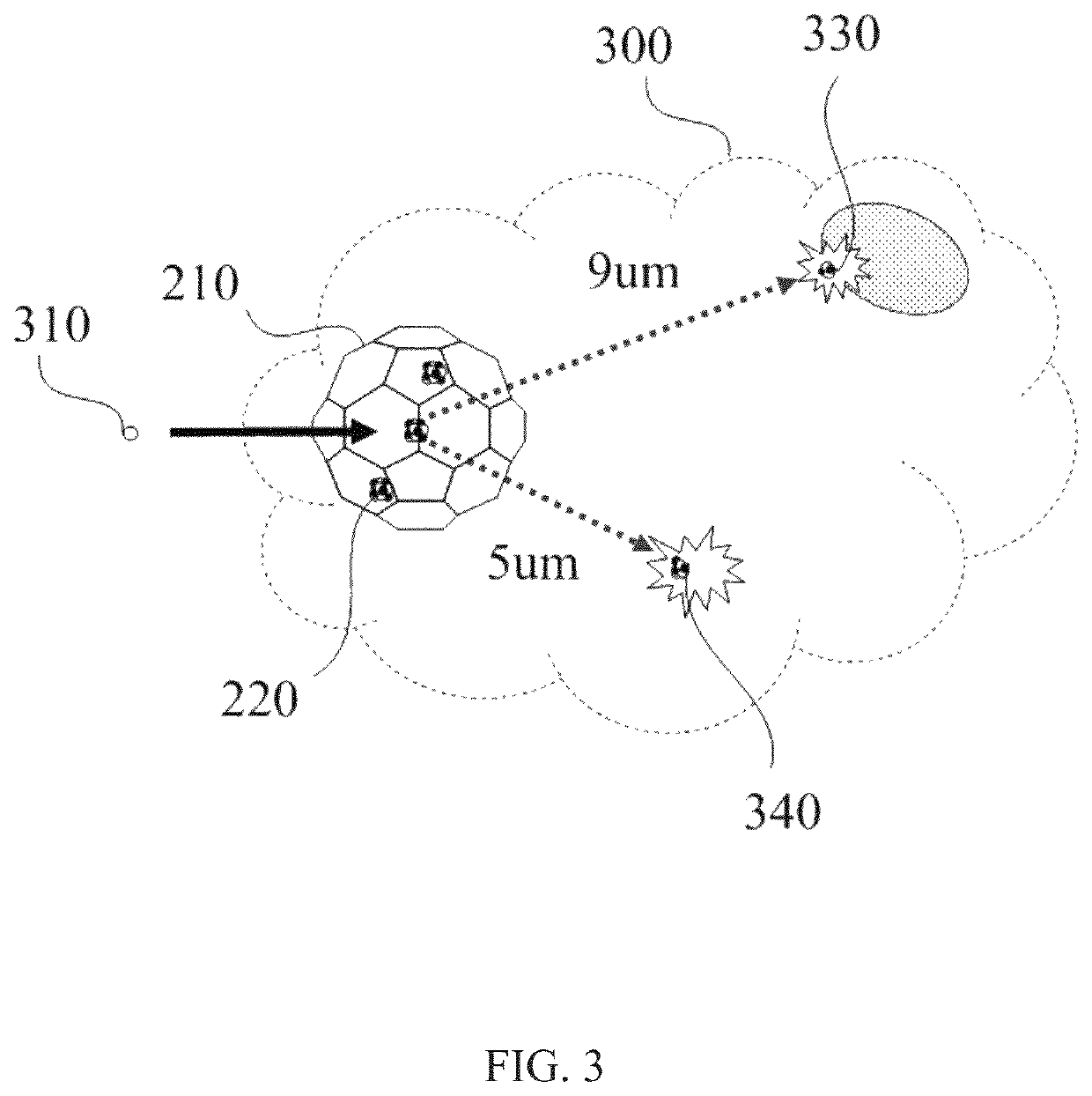 Ion implantation of neutron capture elements into nanodiamond particles to form composition for neutron capture therapy usage