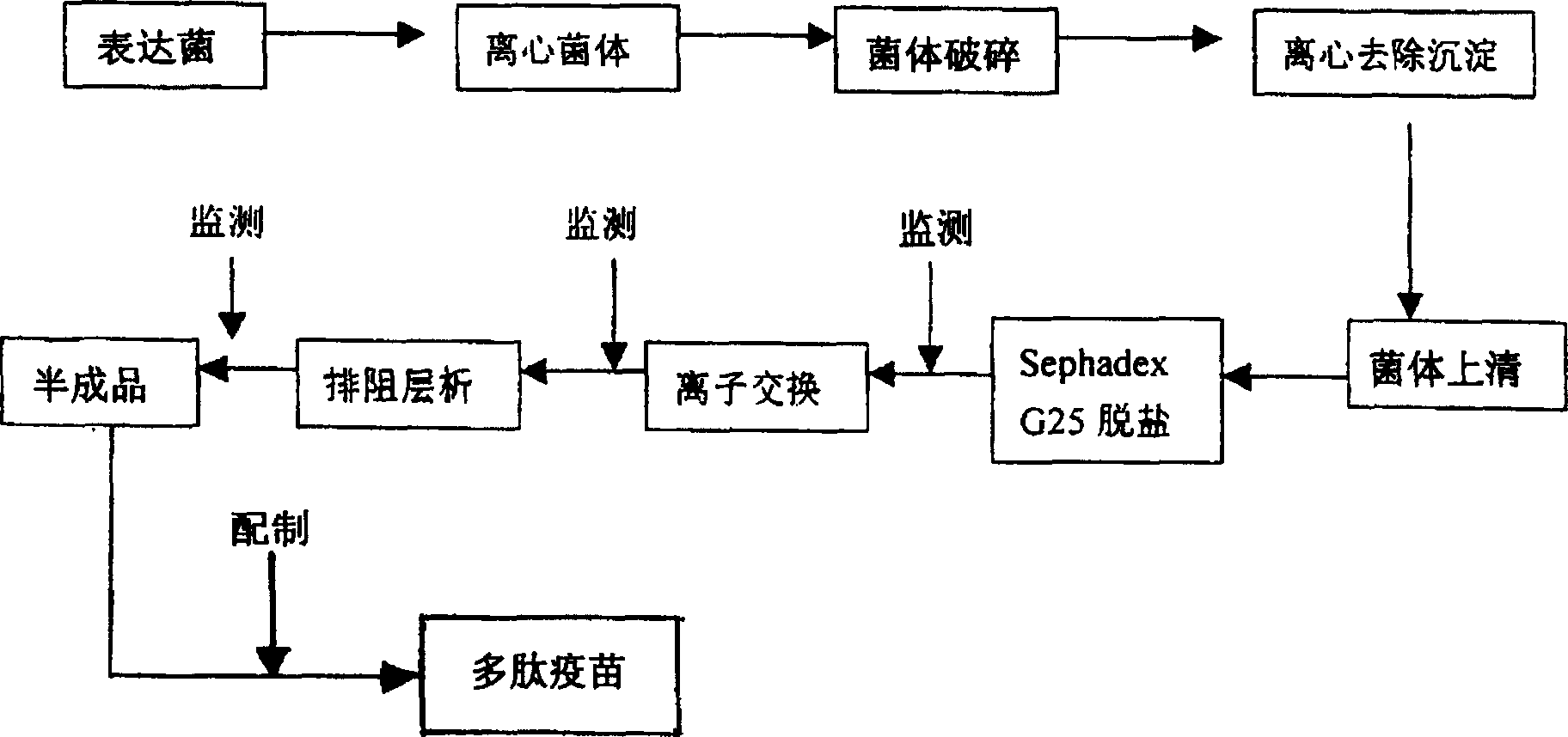 Polyepitope hepatitis C antigen complex polypeptide vaccine and its prepn and application