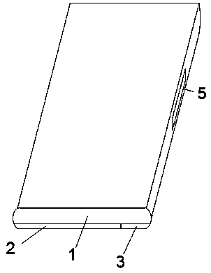 Mobile terminal