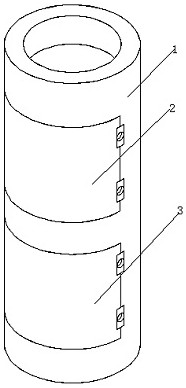 Tumor girdling device for surgical operation