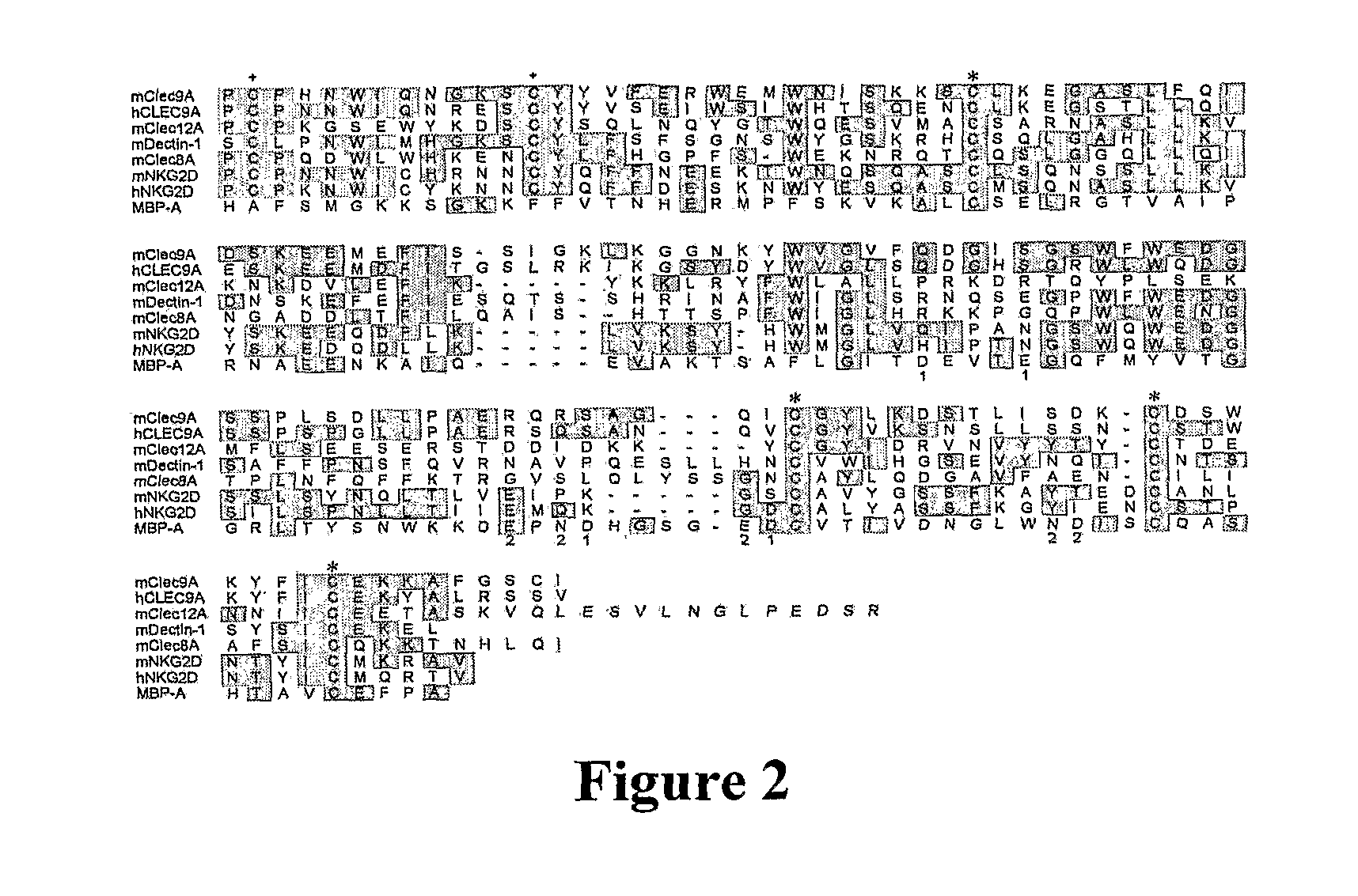 Methods of Detecting Cells with a Disrupted Cell Membrane, Cells Infected with A Pathogen, Dying Cells or Dead Cells