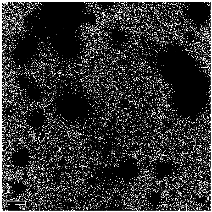 Novel temperature-resisting nanometer medicine-carried system