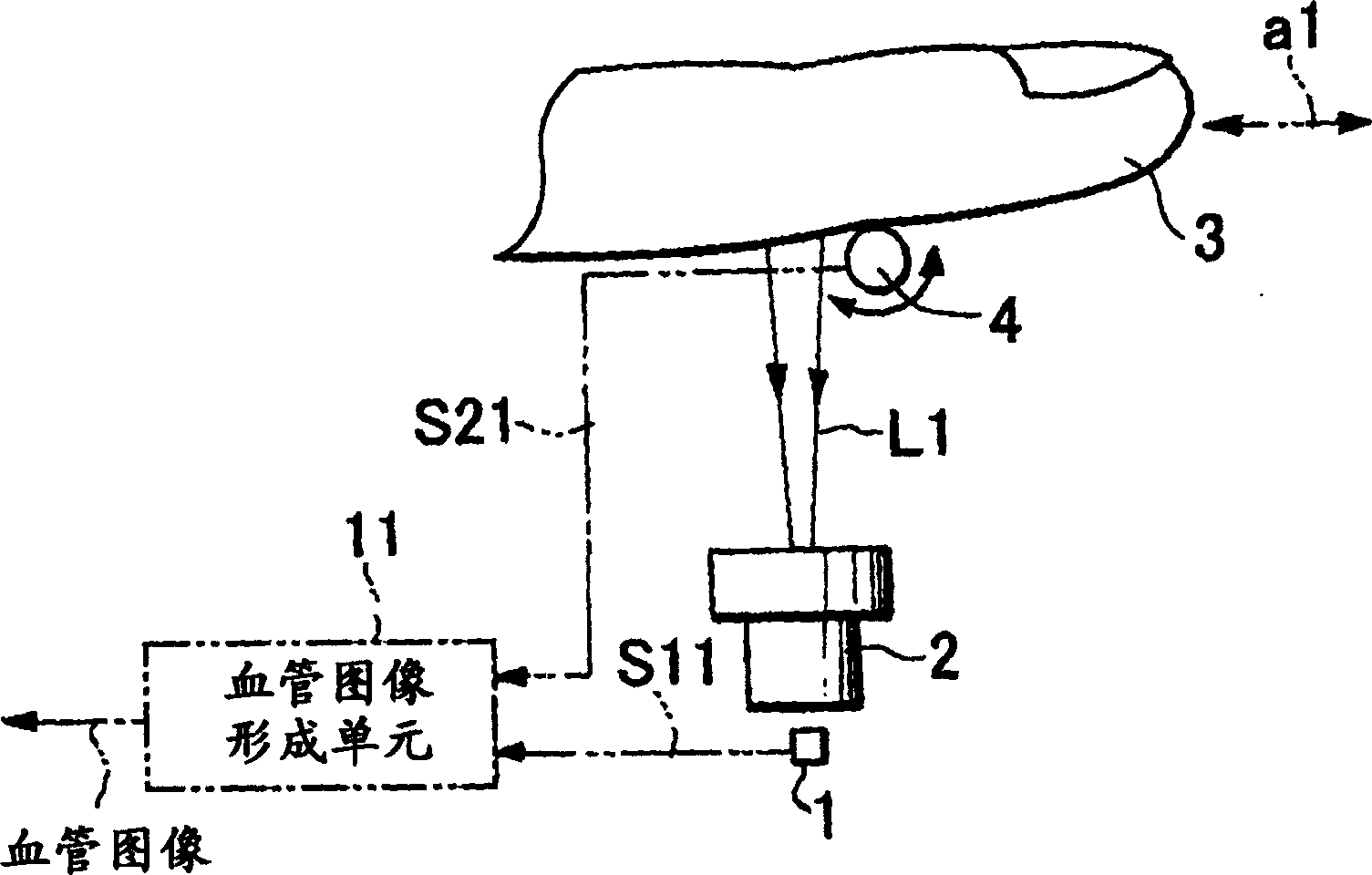 Image input apparatus and person authentication system using an image input apparatus