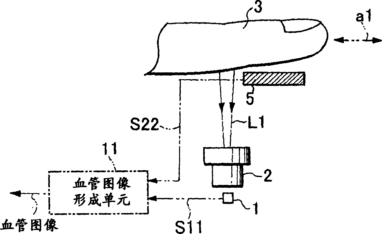 Image input apparatus and person authentication system using an image input apparatus