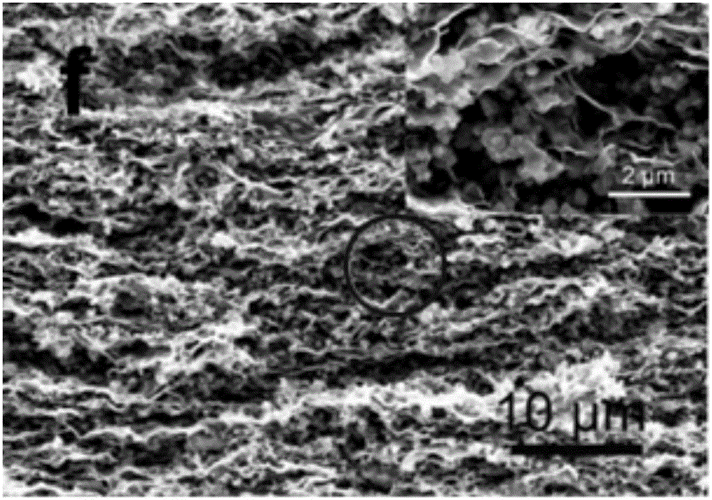 Graphene-polypyrrole nanoparticle composite film electrode and preparation method thereof