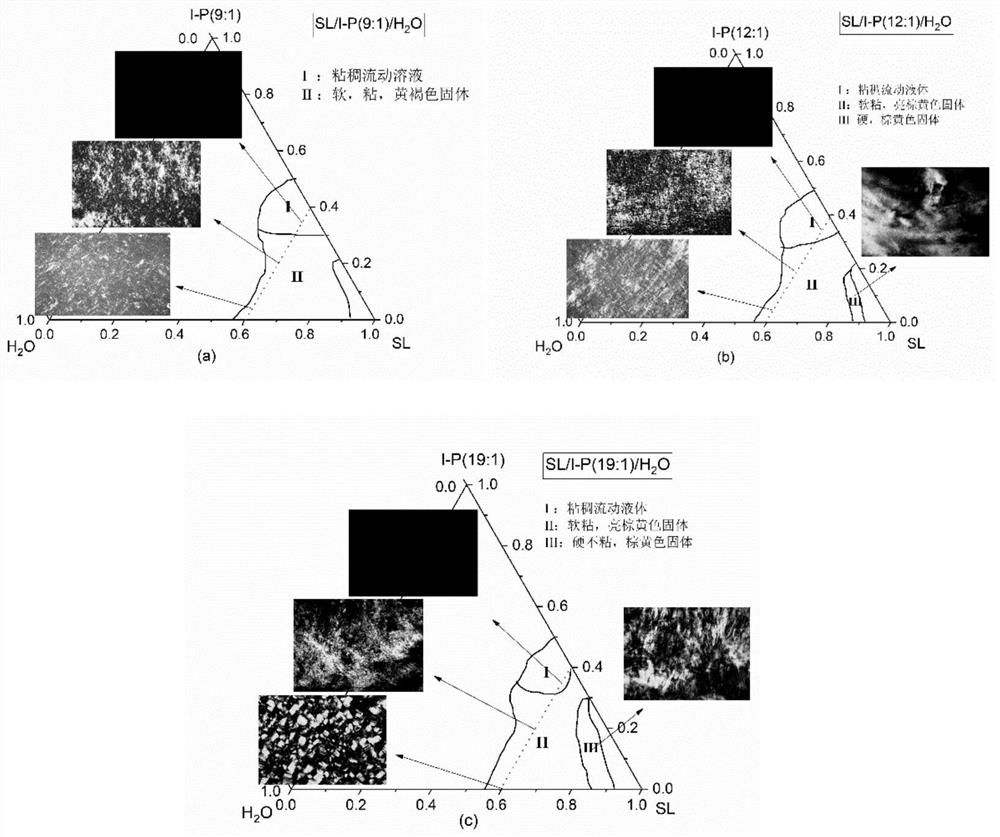 Lipid carrier with slow-release effect on polyphenols with low water solubility and its preparation method and application