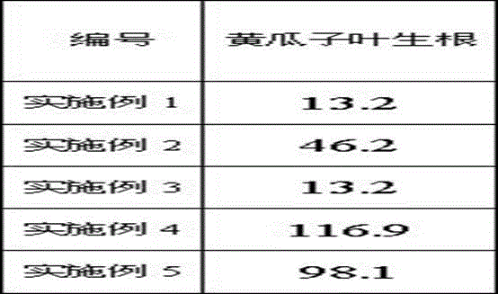 Thiadiazole thiourea derivative as well as preparation and application thereof as plant growth regulator