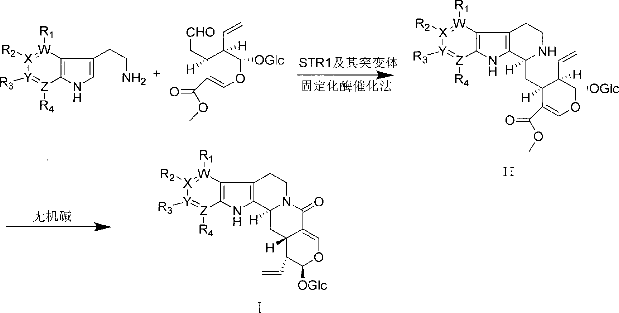 Strictosidine lactam derivatives and preparation method and use thereof