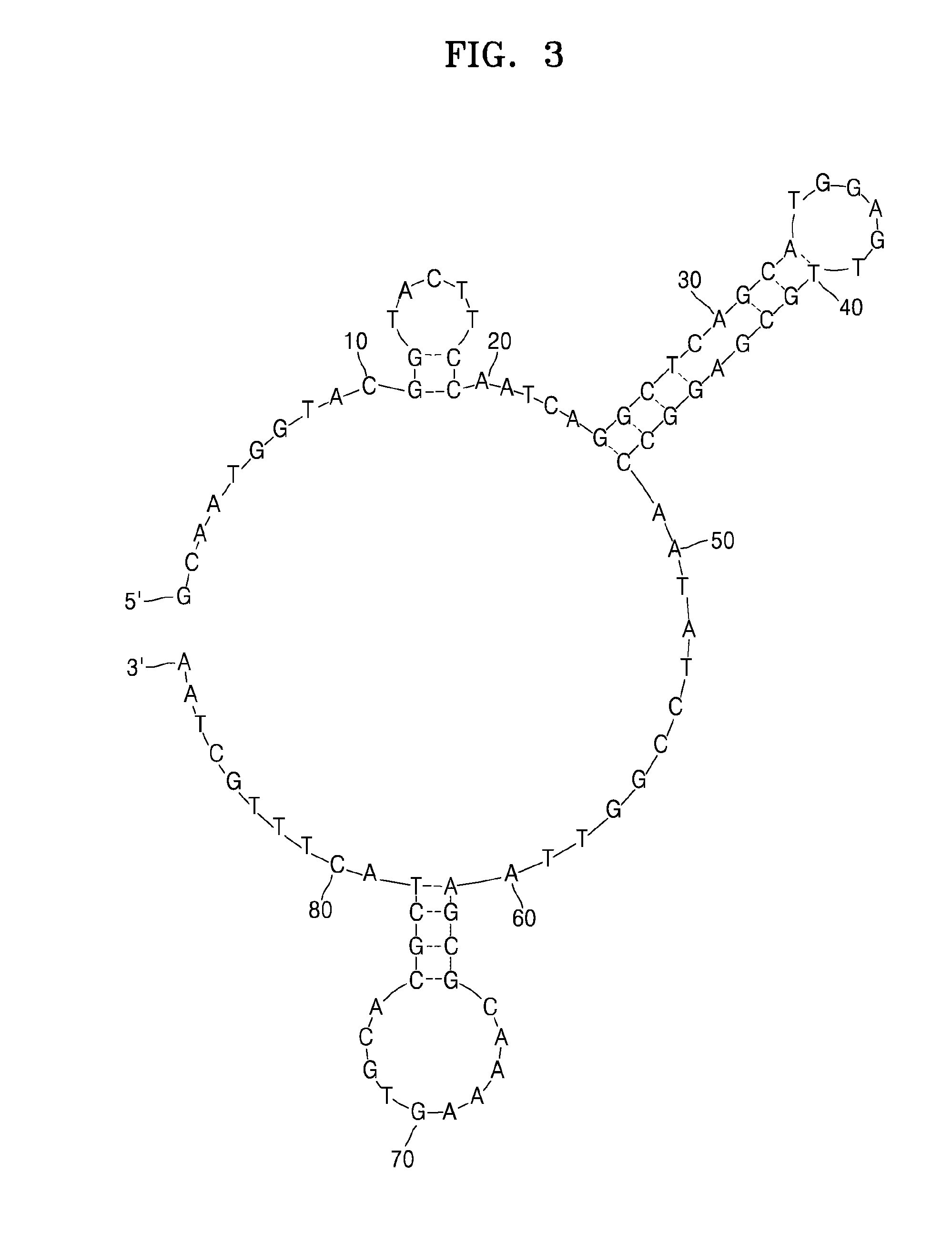 Single-stranded nucleic acid aptamers specifically binding to klebsiella pneumoniae and method for detecting k. pneumonia using the same