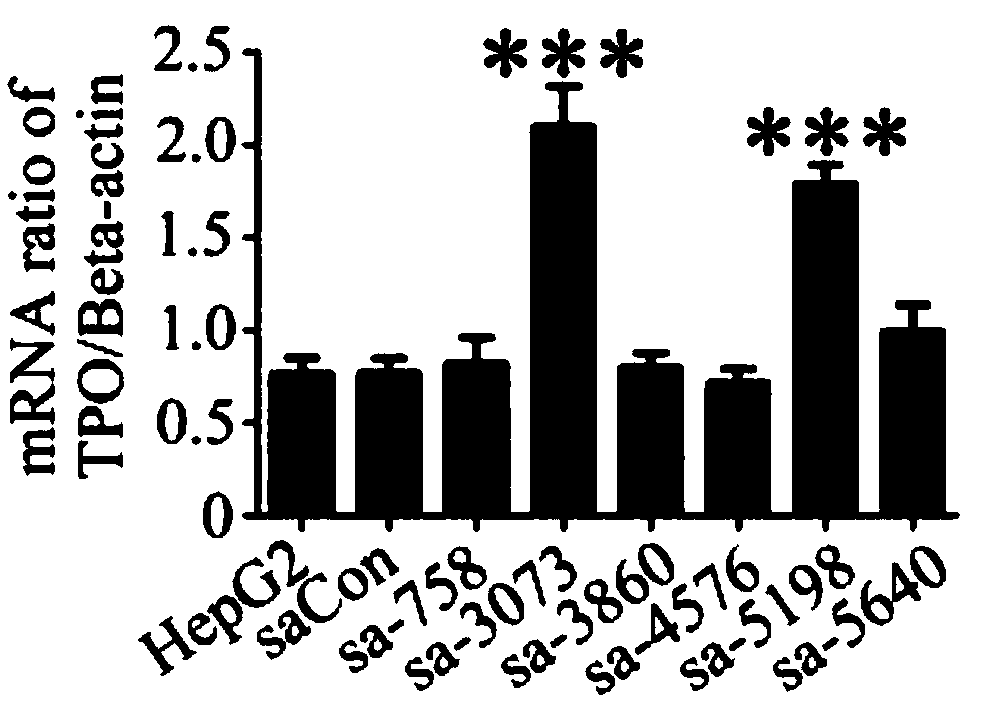 The sarna molecule of tpo gene and its application