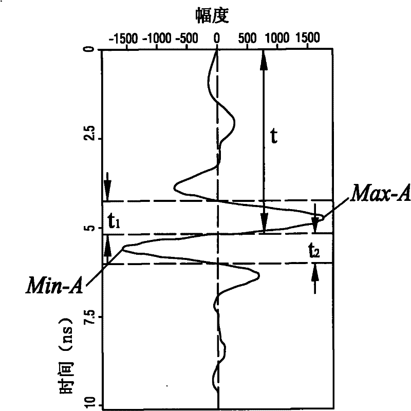Method for measuring biomass of plant underground roots by using ground penetrating radar