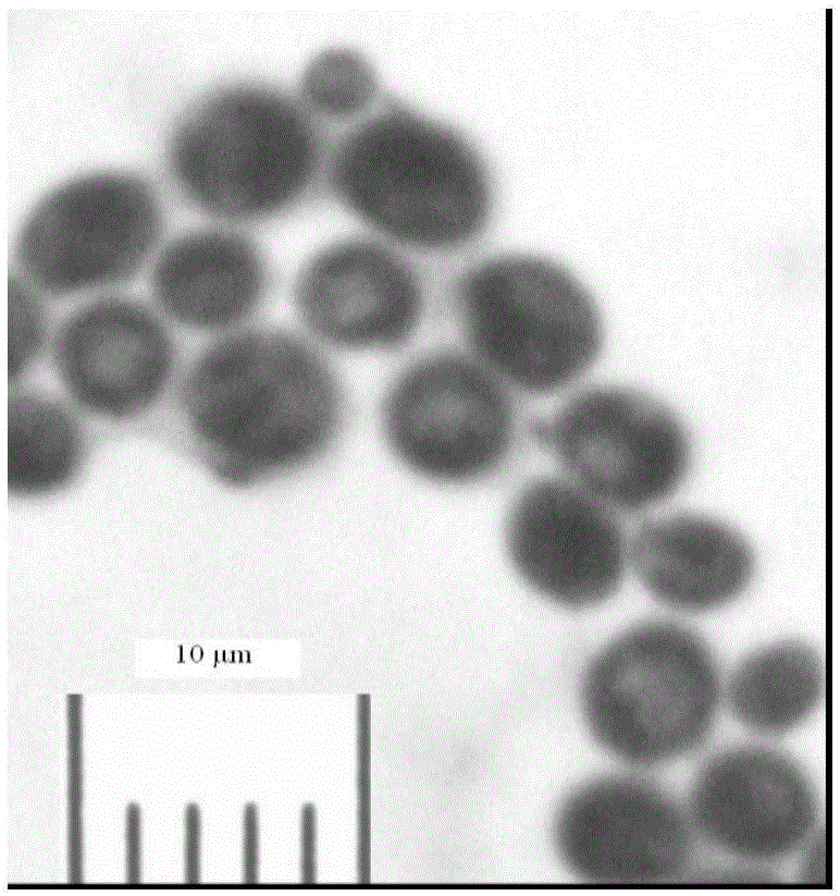Wine Saccharomyces cerevisiae strain with high glycerol yield and low acetic acid yield and construction method thereof